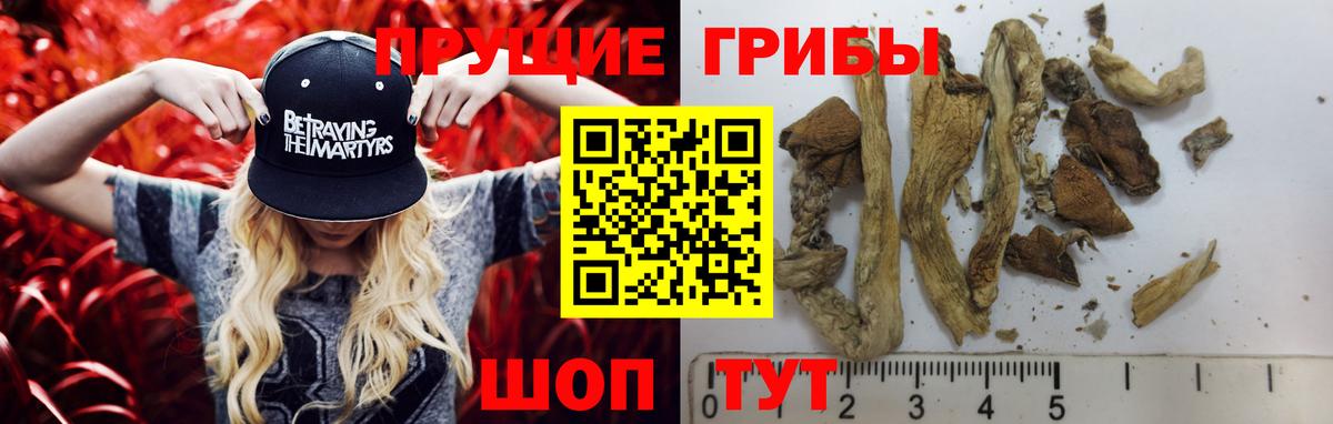 Псилоцибиновые грибы MAGIC MUSHROOMS Мурманск