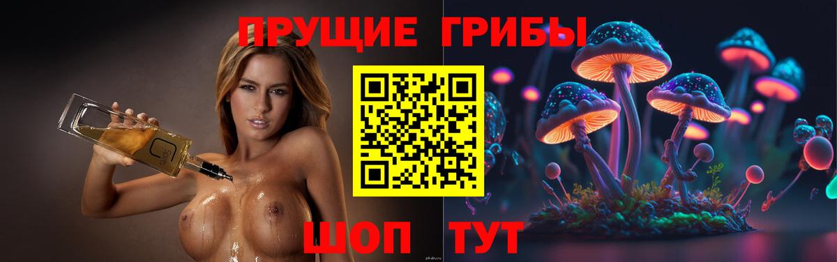 Мурманск  Галлюциногенные грибы мухоморы  Вход с VPN 